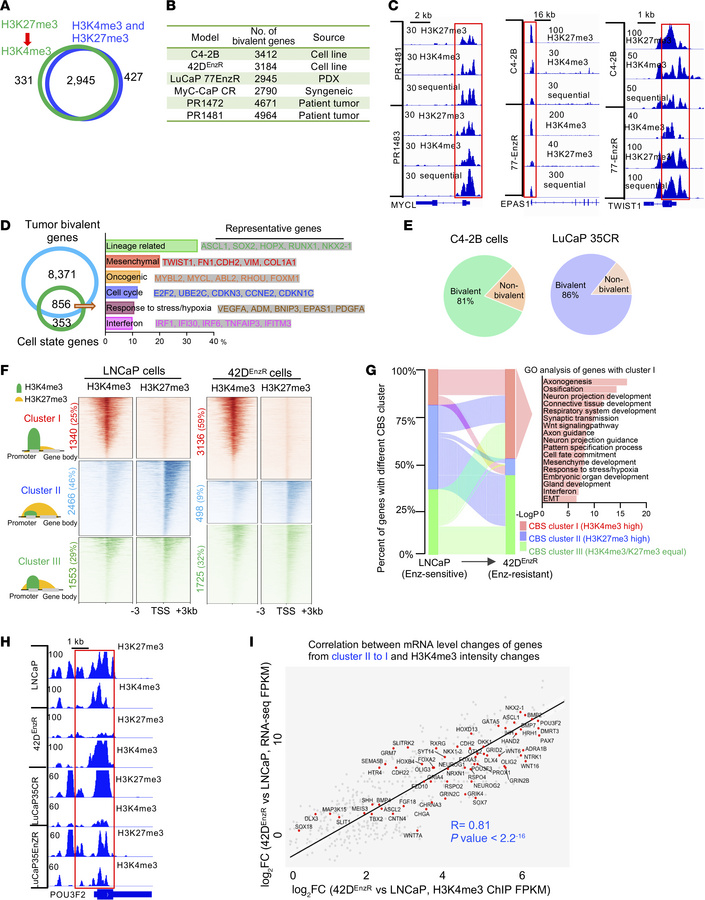 Induction of cell state diversity is associated with alteration of chrom...