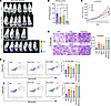 Therapeutic targeting of PRC2/EZH2 and the AR increases drug resistance and