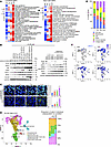 Therapeutic targeting of PRC2/EZH2 and the AR promotes cell state diversity