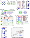 Induction of cell state diversity is associated with alteration of chromati