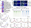 Induction of tumor cell–state diversity by PRC2/EZH2 inhibition can be miti