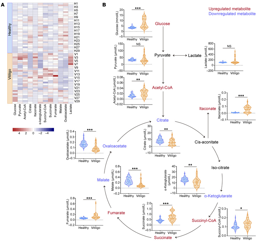 Altered serum levels of glucose-related metabolites in patients with vit...