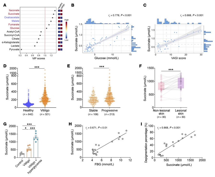 Succinate is the potential metabolite mediating the exacerbation of viti...
