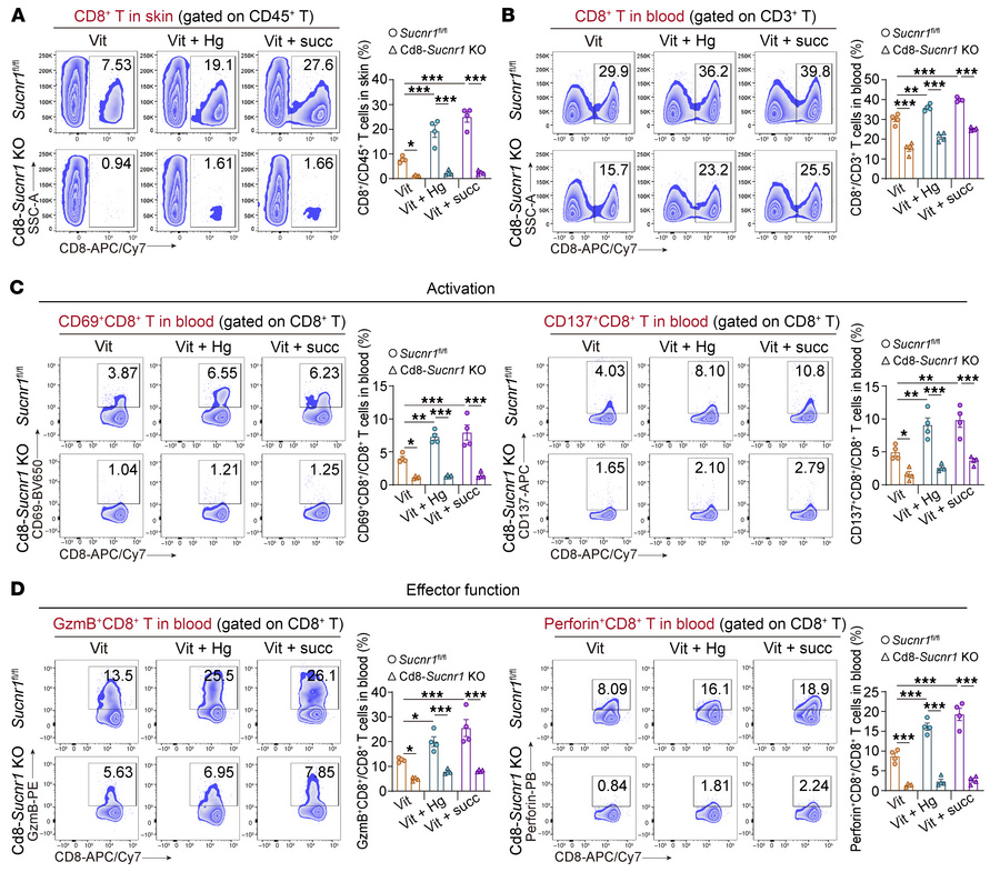 Succinate promotes hyperactivation of CD8+ T cells via SUCNR1.
(A) Propo...