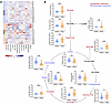 Altered serum levels of glucose-related metabolites in patients with vitili