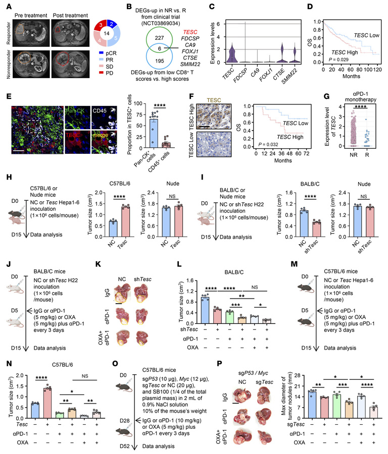 Tumor-intrinsic TESC contributes to resistance to antitumor immunity and...