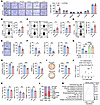 Tumor TESC impairs CD8+ T cell–mediated antitumor immunity.