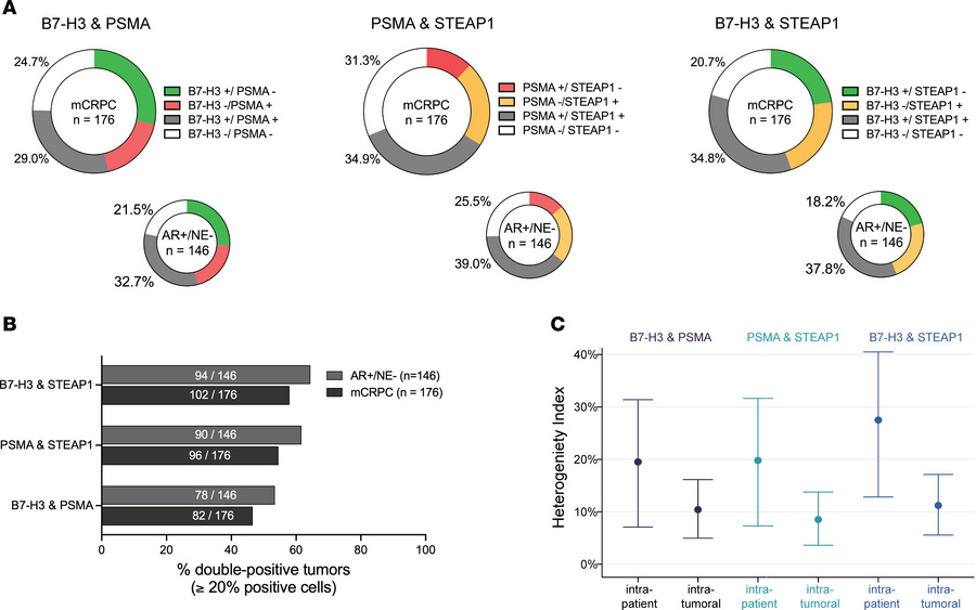 mCRPC cells coexpress ADC target pairs PSMA and STEAP1, B7-H3 and PSMA, ...