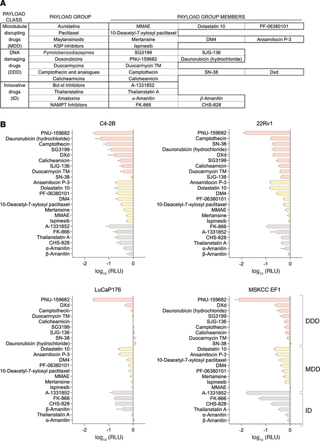 Screening of ADC payloads in PC cell lines.
(A) List of cytotoxic agents...