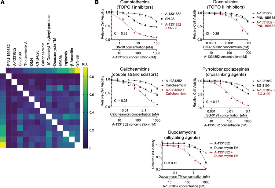 Combinatorial drug screening identifies synergistic interactors.
(A) Hea...