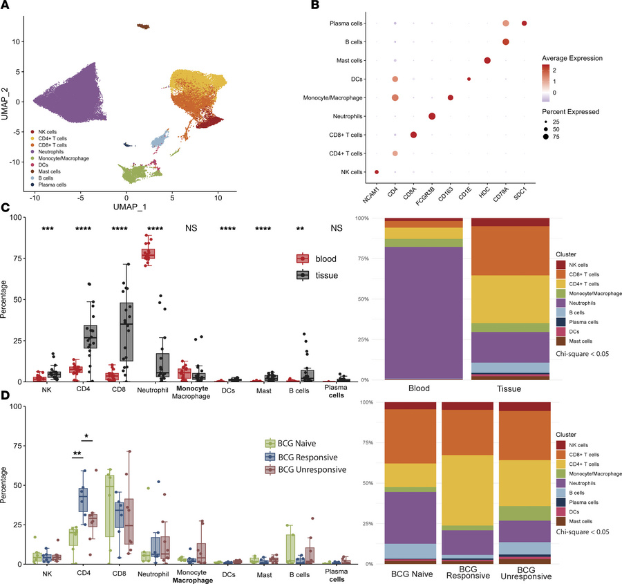 Comprehensive dissection and clustering of immune cells from BCG-treated...