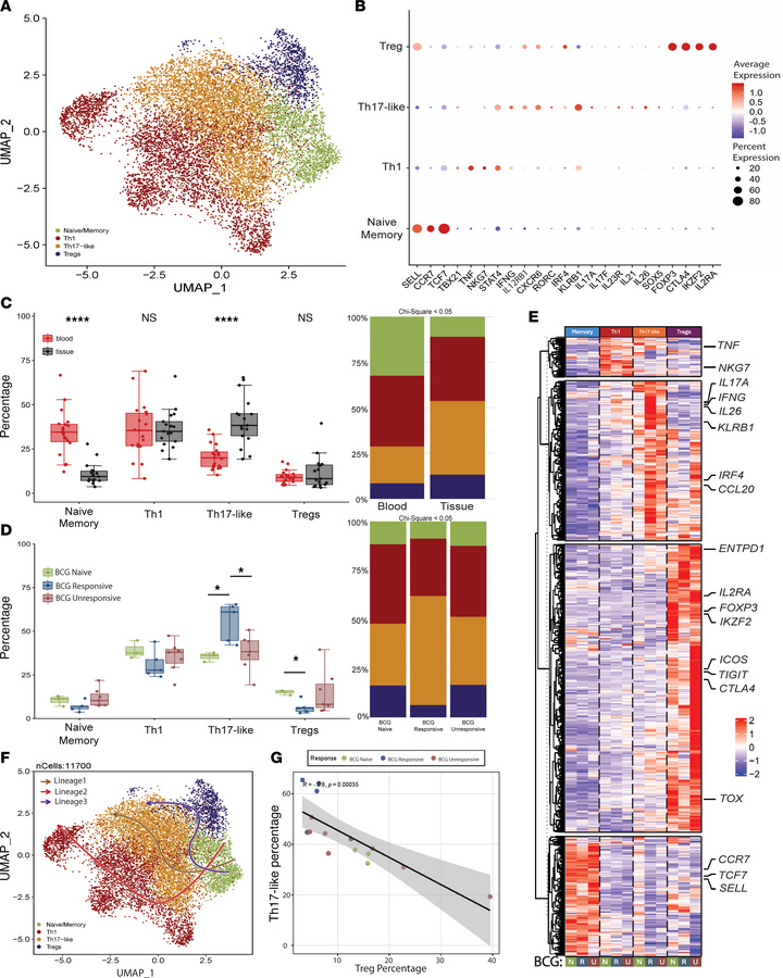 Opposing Th17 and Treg signatures define response to BCG.
(A) UMAP plot ...