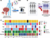 Study design and patient cohort for immune profiling of the BCa tumor micro