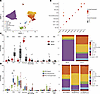 Comprehensive dissection and clustering of immune cells from BCG-treated bl