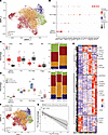 Opposing Th17 and Treg signatures define response to BCG.