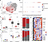 CD8+ T cells demonstrate increased exhaustion in BCG-unresponsive bladders.