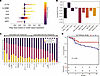 Machine learning model to infer important cellular and gene characteristics