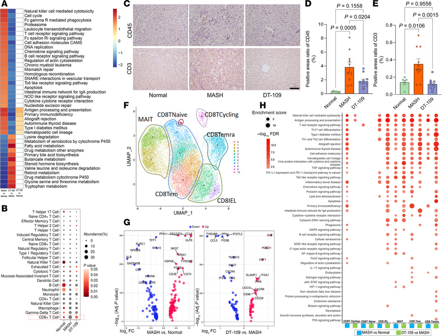 Transcriptomic analysis reveals enhanced CD8+ T cell–mediated cytotoxici...
