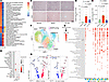 Transcriptomic analysis reveals enhanced CD8+ T cell–mediated cytotoxicity