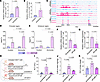 Elevated ammonia triggers FosB-mediated CCL5 expression in CD8+ T cells, dr
