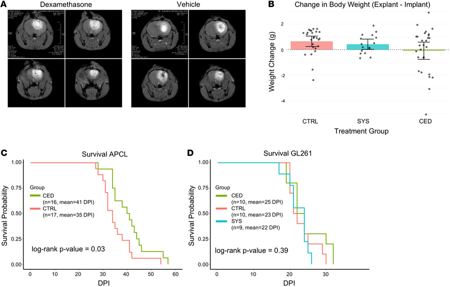 CED-dexamethasone demonstrated intracranial drug distribution without si...