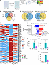 Dexamethasone broadly reverses the LPS-induced inflammatory transcriptional