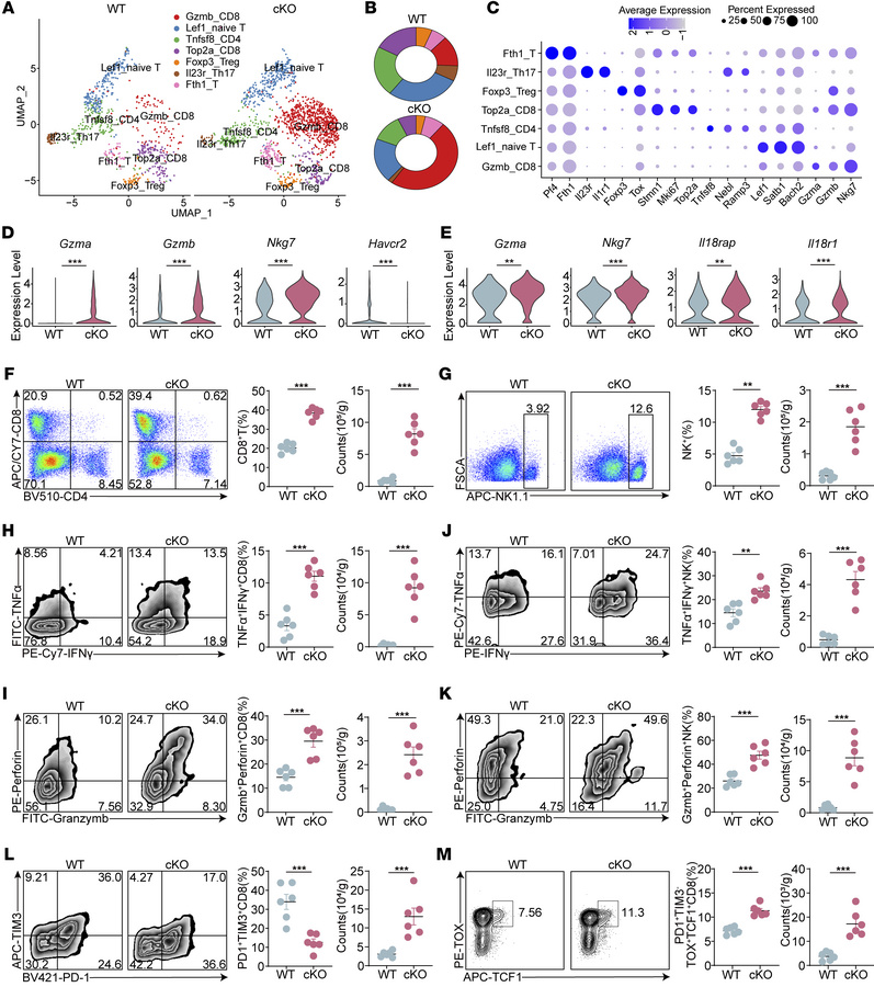 Depletion of CBX4 in macrophages augments CD8+ T cell and NK cell antitu...