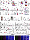 Depletion of CBX4 in macrophages induces an immunostimulatory phenotype.