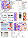 Depletion of CBX4 activates the type I IFN response through cytosolic RNA–s