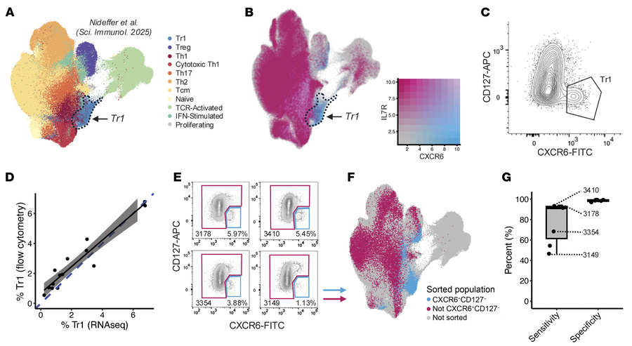 Validation of CXCR6+ CD127– as a gating strategy to enrich for Tr1 cells...