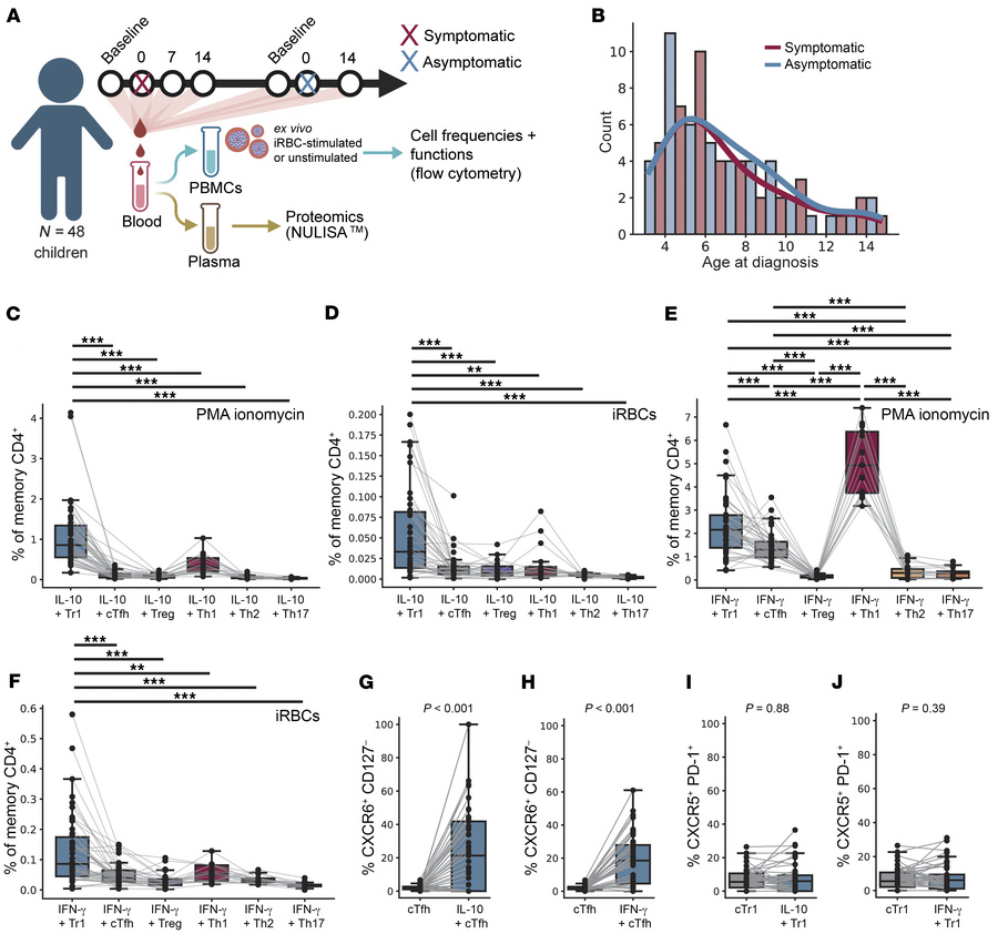 Cytokine production by memory CD4+ T cell subsets following stimulation....