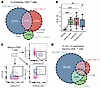 Comparison between the CXCR6+ CD127– gating strategy with previously propos