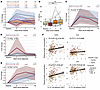 Infection dynamics of memory CD4+ T cell populations and effector molecules