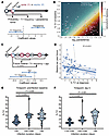 Correlations between Tr1 cells and outcomes of Pf infections.