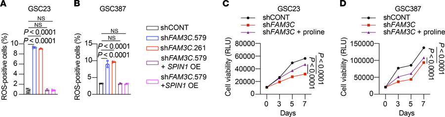 FAM3C maintains redox homeostasis.
(A and B) Quantification (n = 3 biolo...