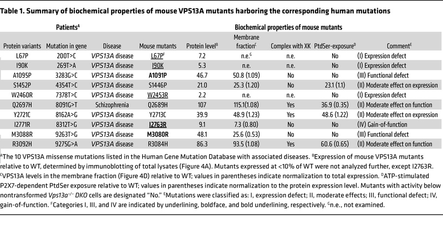 Summary of biochemical properties of mouse VPS13A mutants harboring the ...