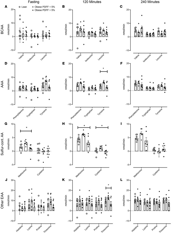 Splanchnic balance of essential amino acids during the experiment.
The m...