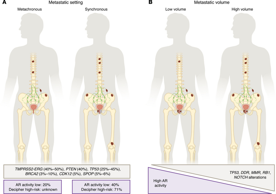 Clinical configurations of mHSPC and known associated biological feature...