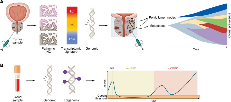 Approaches used to capture tumor biology and their limitations.
(A) Tiss...