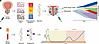 Approaches used to capture tumor biology and their limitations.