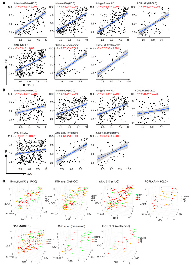 The cDC1 gene signature correlates with CD8 and NK signatures.
(A and B)...
