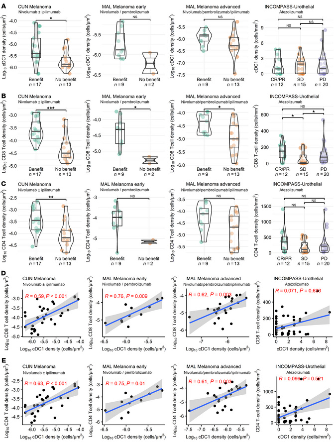 cDC1 cell density estimated by multiplex tissue immunofluorescence is as...