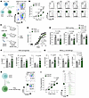 Tregs from Srebp1c-KO mice showed an impaired suppressive function.