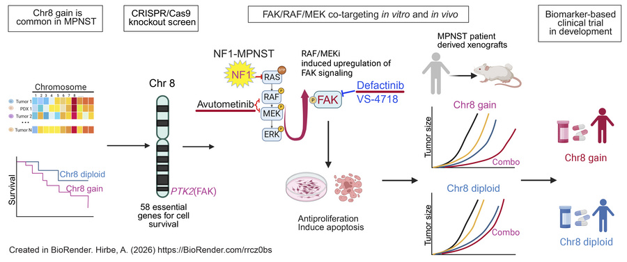graphical abstract