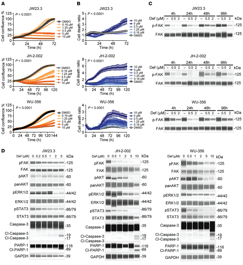 FAKi reduces cell proliferation and activation of FAK and downstream pro...