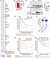 PTK2 is an important gene on chr8 for survival of MPNST cells.