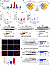 S100A11 positively responds to cholesterol.