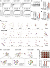 Spermine and spermidine directly bind to 2′3′-cGAMP and promote its aggrega