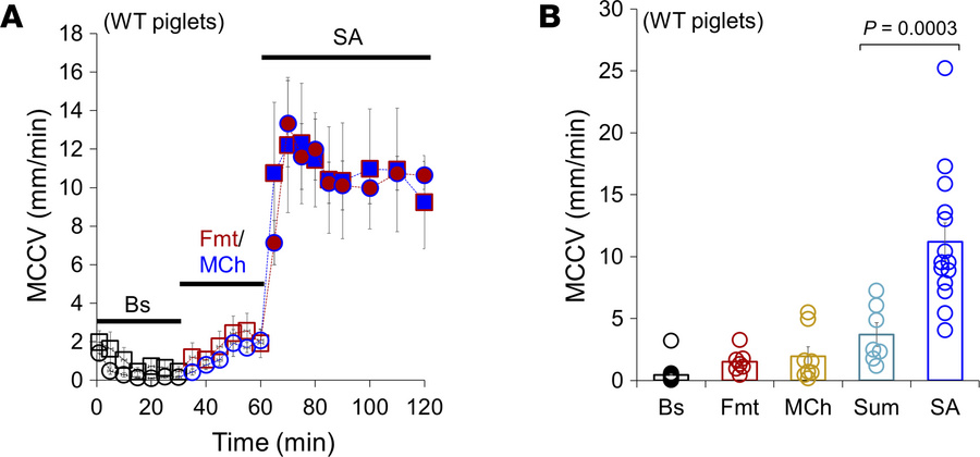 MCCV measured in ex vivo animal tracheae exposed to formoterol, methacho...