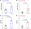 MCCV and CBF measured in ex vivo tracheae of WT and CFTR-null rats after in